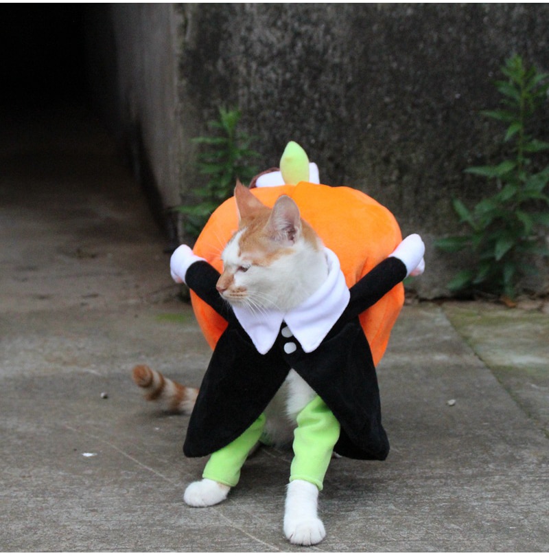 Halloween Pumpkin Costume for Cats