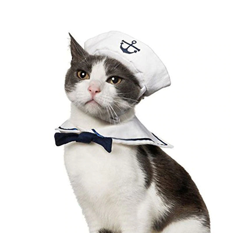 Two-Piece White Cat's Costume