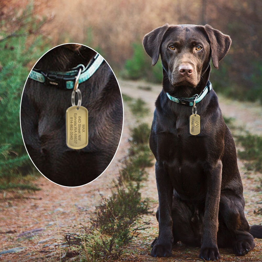 Dog's Vintage Style Personalized ID Tag