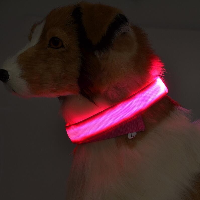 Dogs Nylon LED Collar