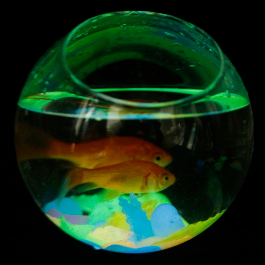 Luminous Aquarium Stones Set
