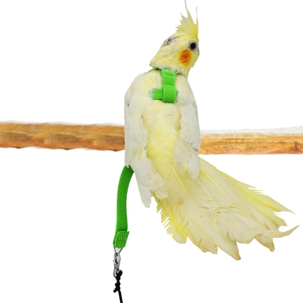 Bird's Ultralight Harness