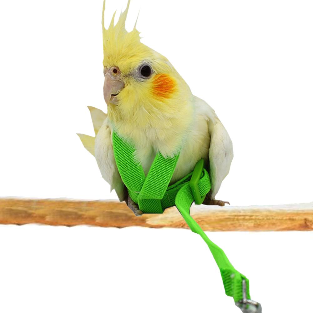 Bird's Ultralight Harness