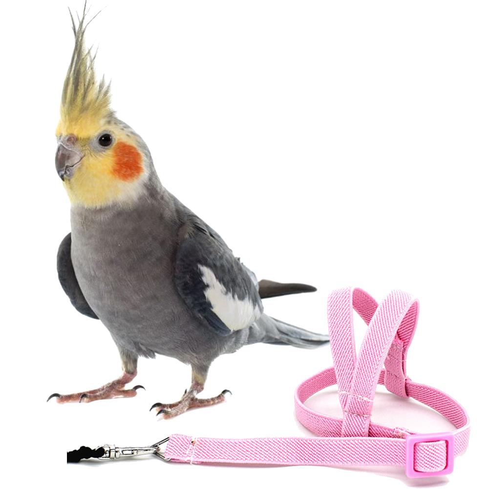 Bird's Ultralight Harness