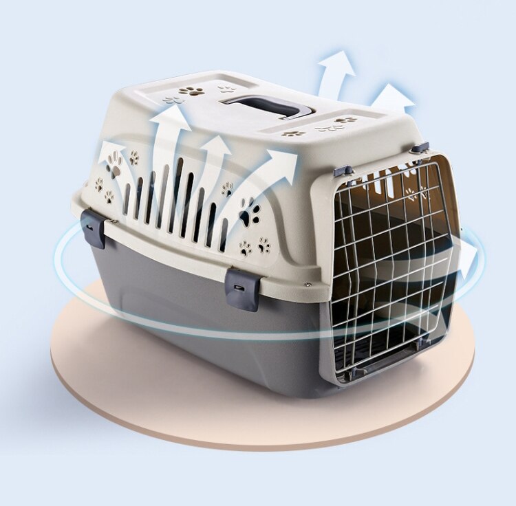Little Paws Airline Pet Carrier