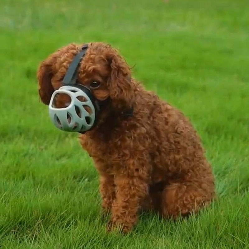 Soft Dog Basket Muzzle