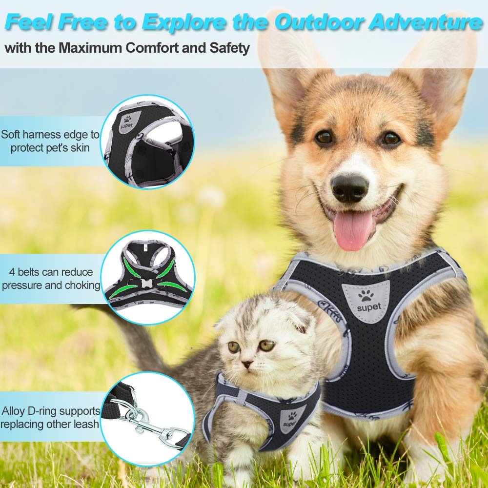 Reflective Breathable Harness