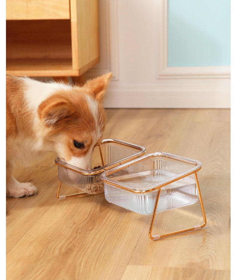 Pet's Double Non-Slip Bowl