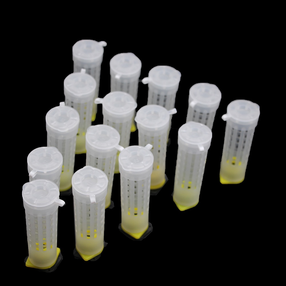 Queen Rearing Kit 50 pcs Set Cages Cups
