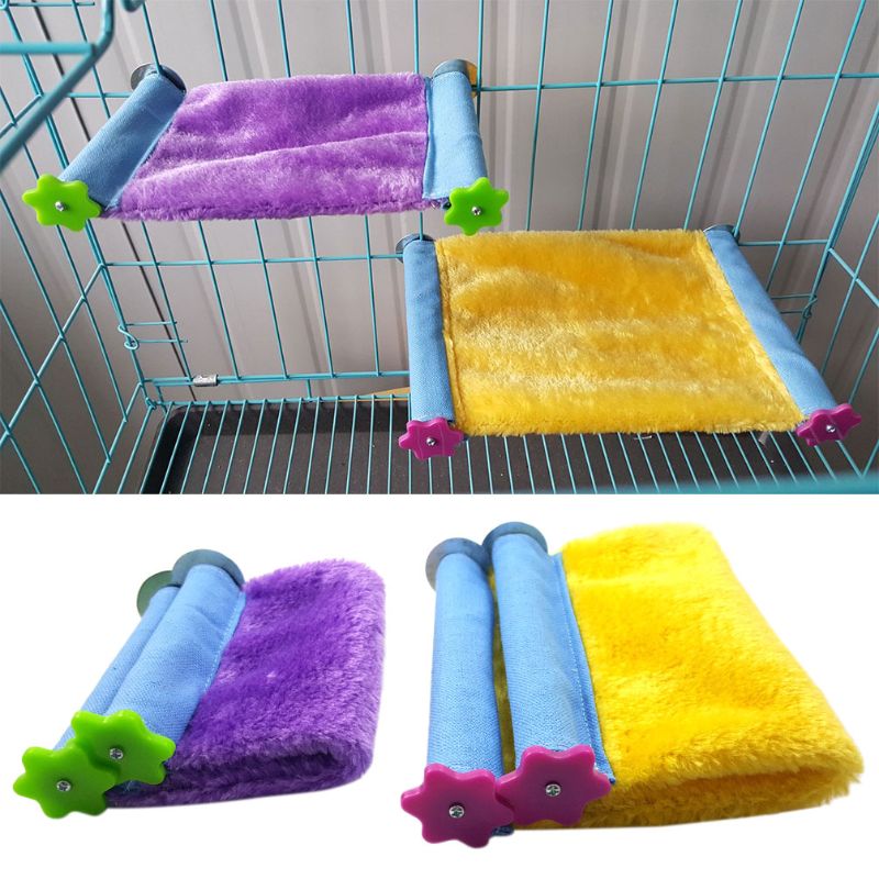 Color Block Bed for Small Pets