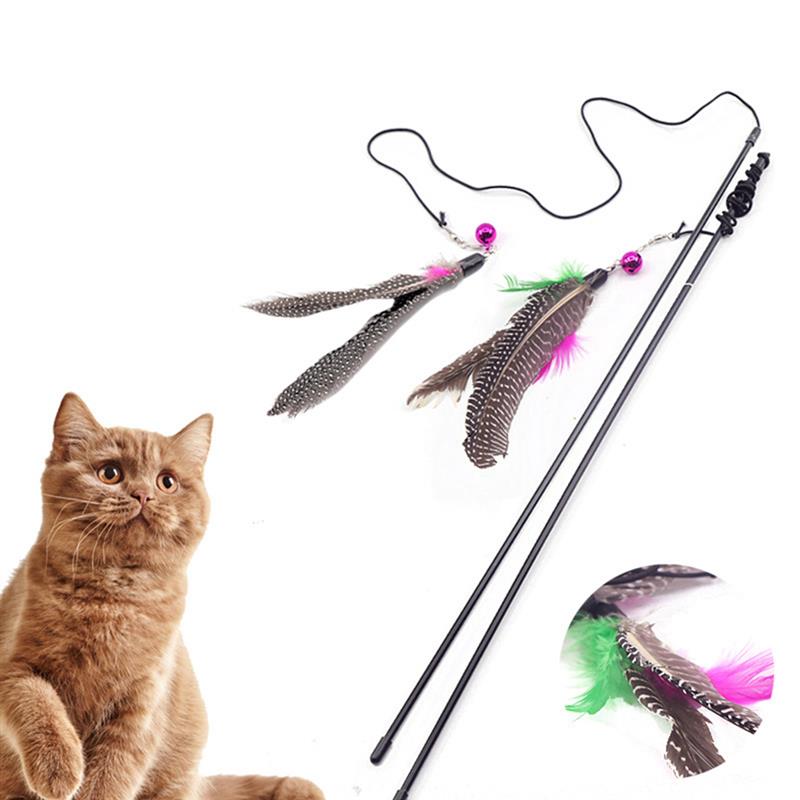 Cat's Interactive Toy Feather