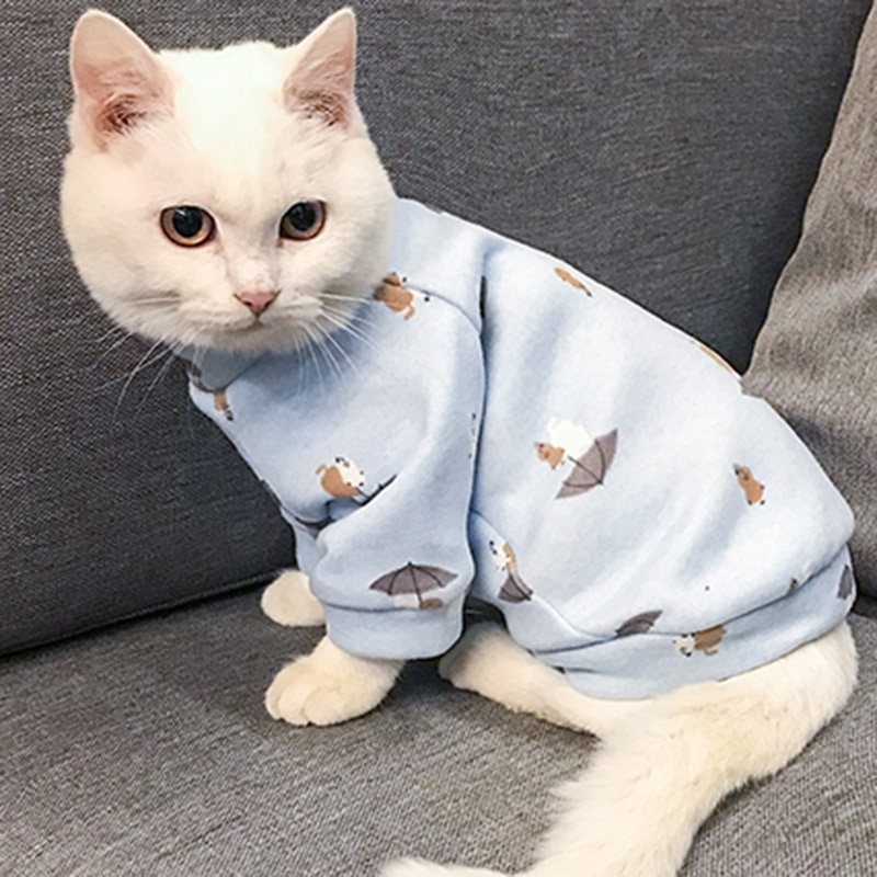 Cat's Colorful Print Sweatshirt