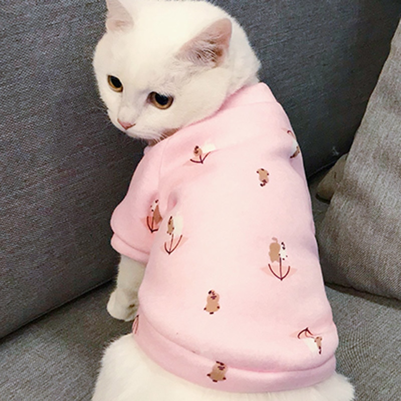 Cat's Colorful Print Sweatshirt