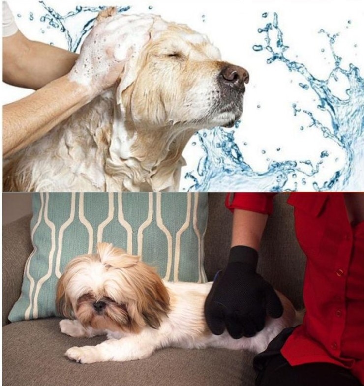 Pet Grooming Glove Left Right Hand