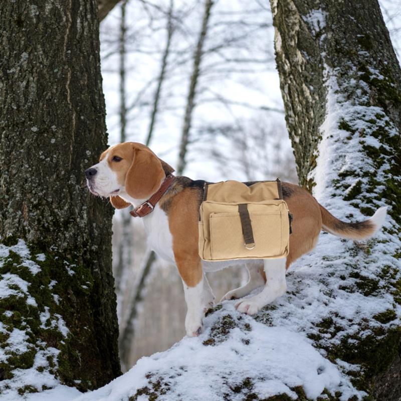 Dog's Travel Harness Vest with Pockets