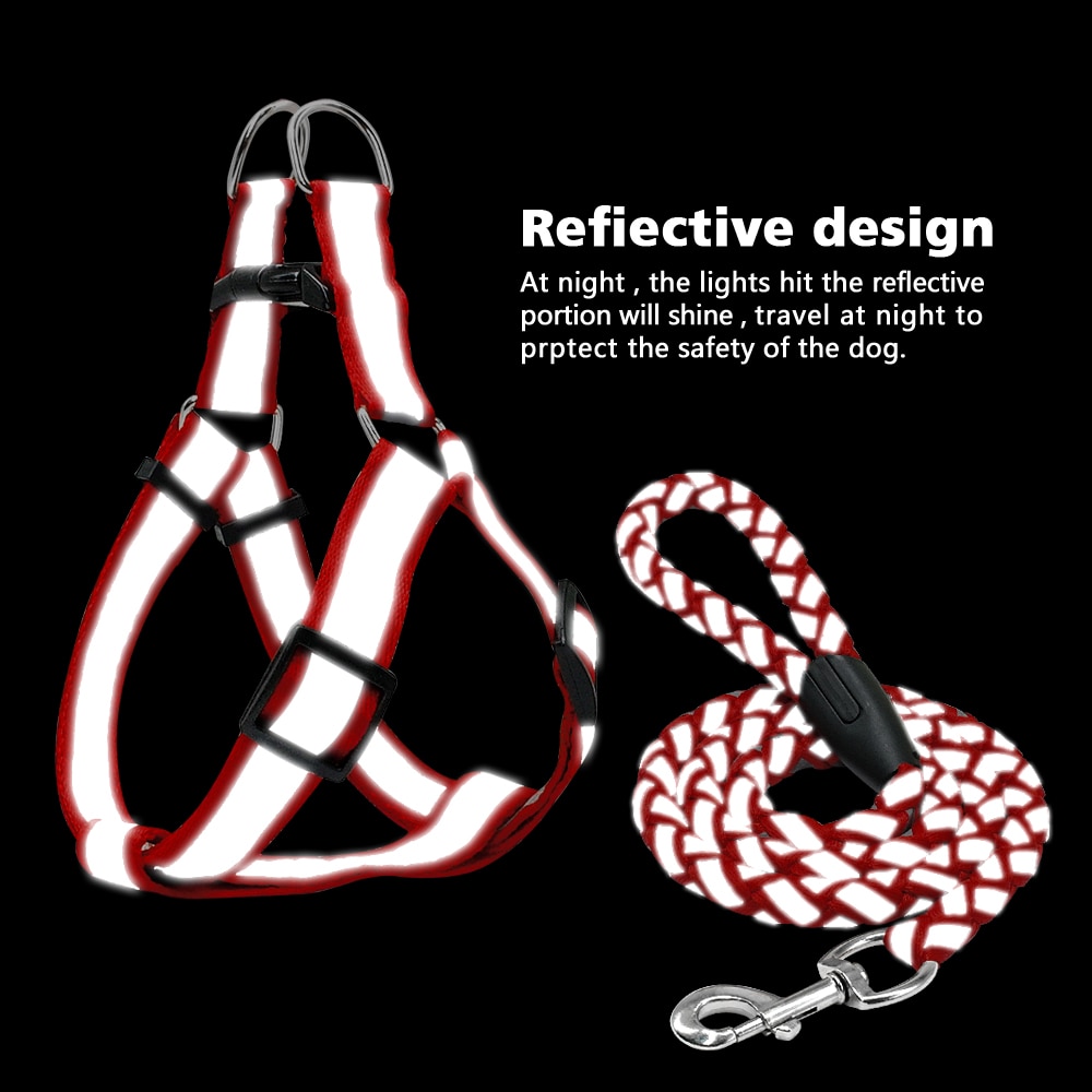 Step-in Reflective Nylon Dog Vest with Leash Set