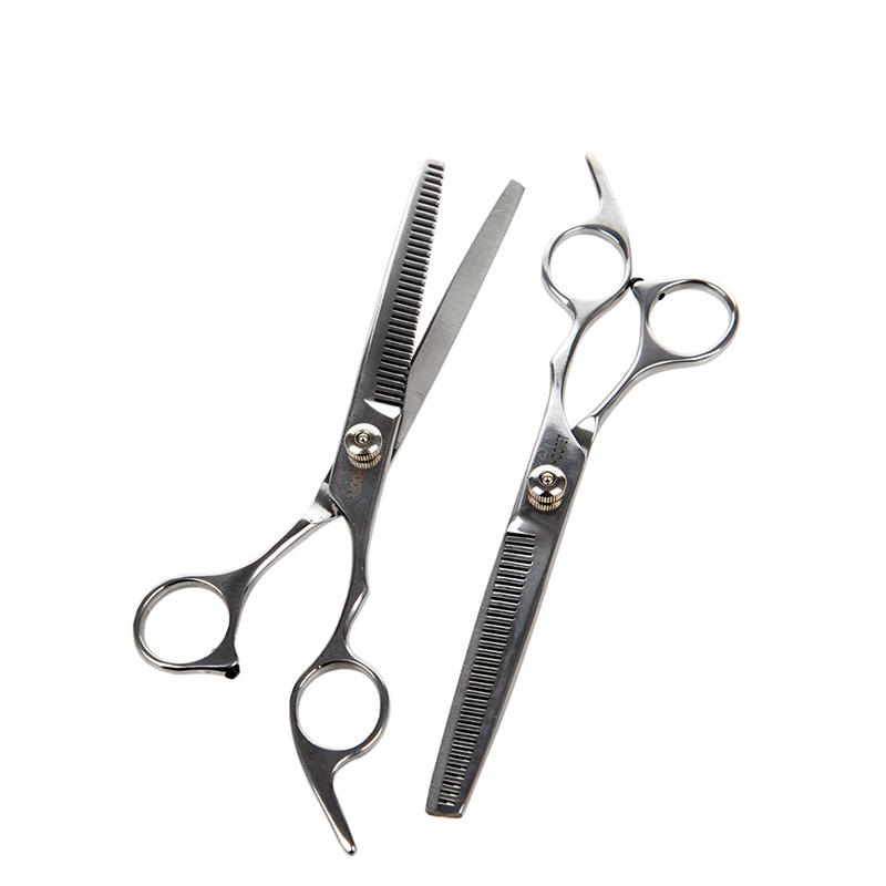 Professional Stainless Steel Hair Scissors