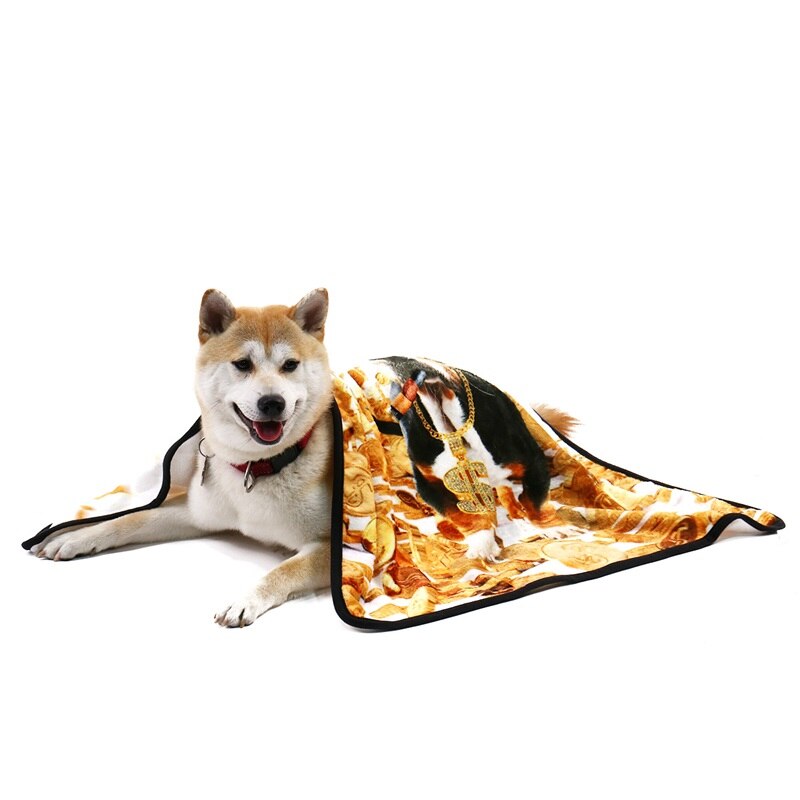 Large Space Themed Blanket for Pets