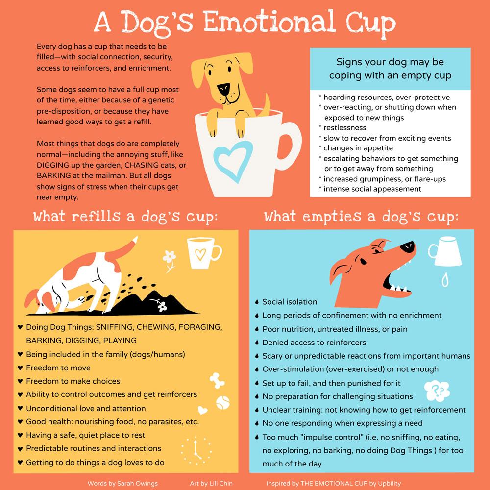 a dogs emotional cup