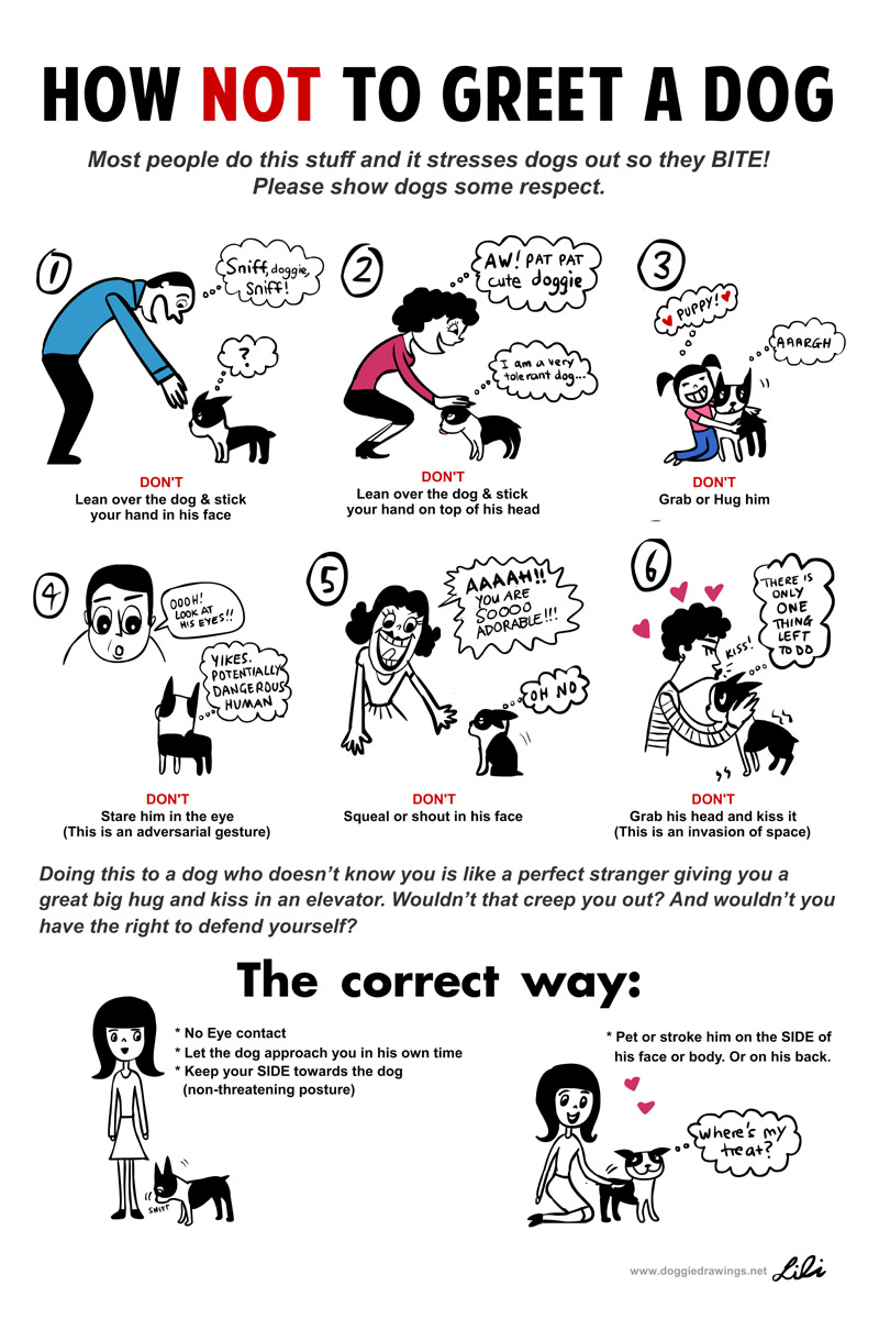 how not to greet a dog