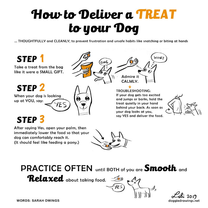 how to deliver a treat to your dog
