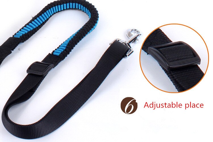 Dog's Hand Free Waist Leash for Running