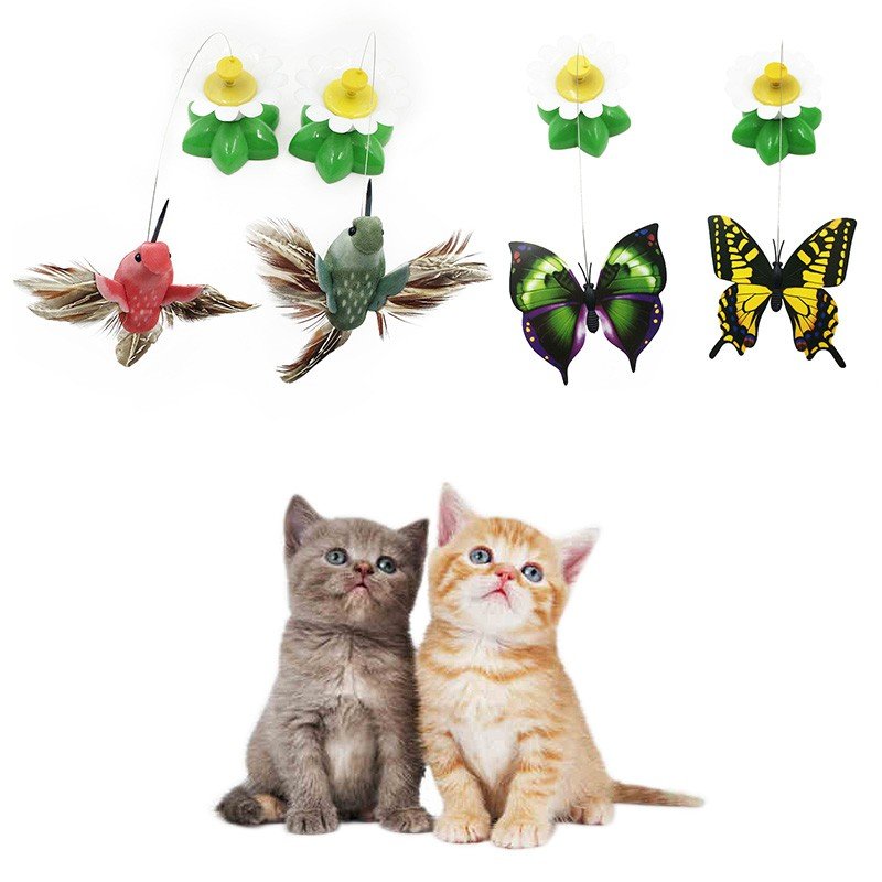 Colorful Rotating Butterfly Cat Toy
