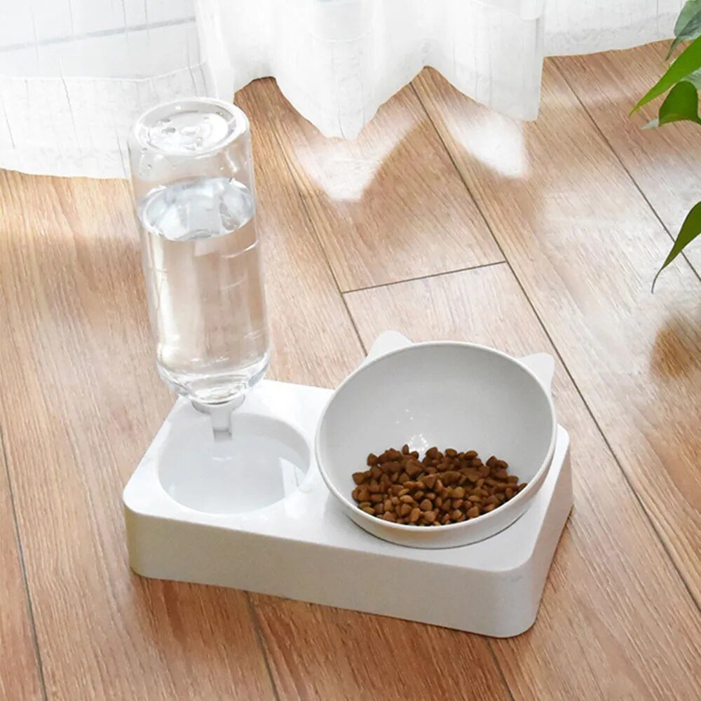 Cat's Food and Water Bowl