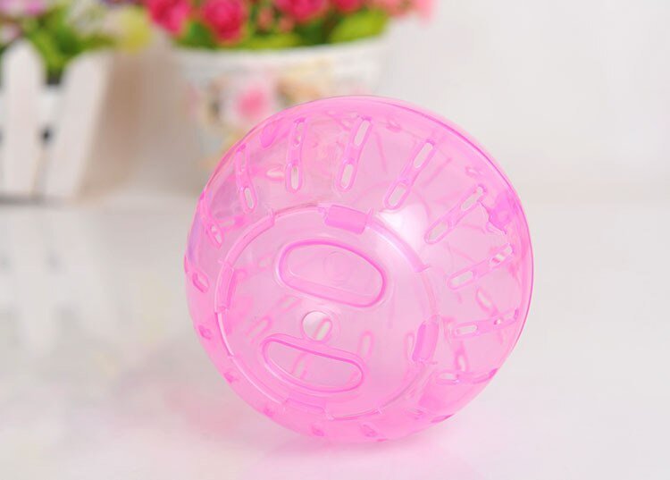 Ball Toy for Small Pets