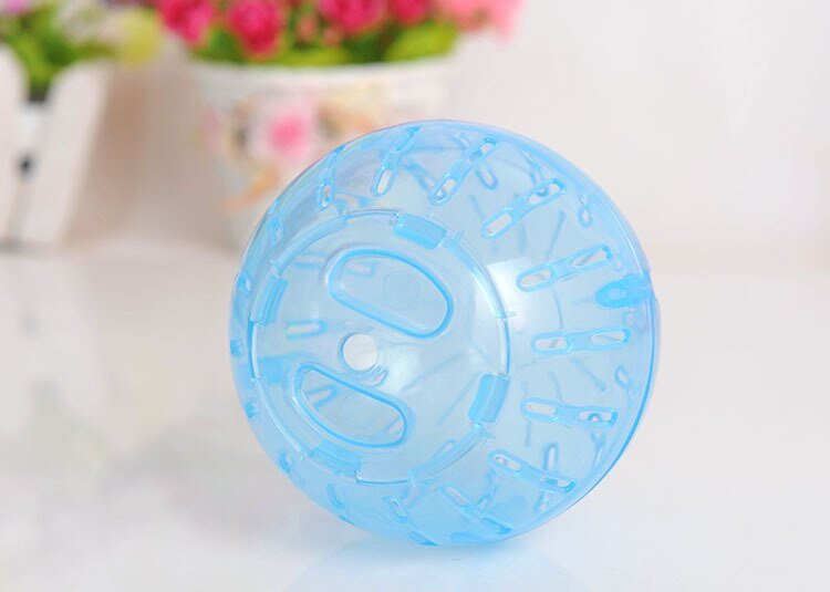Ball Toy for Small Pets