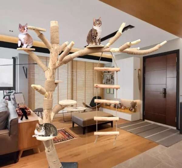 large solid wood cat tree