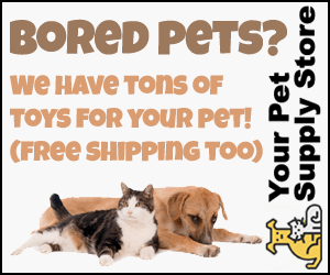 your pet supply store square banner 1